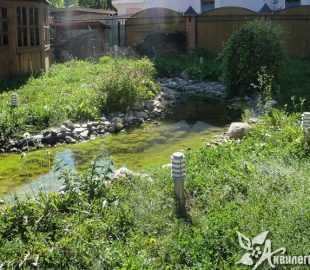 без-ухода-н-