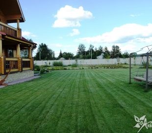 рулонный газон