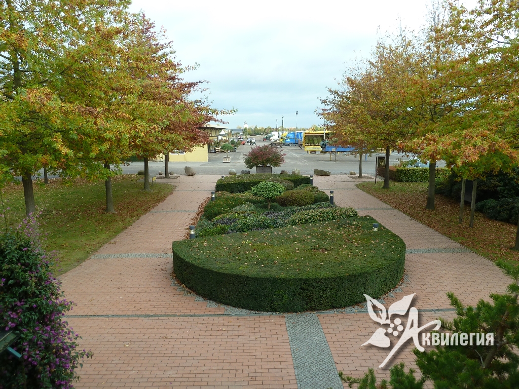 Питомник «Lorberg»