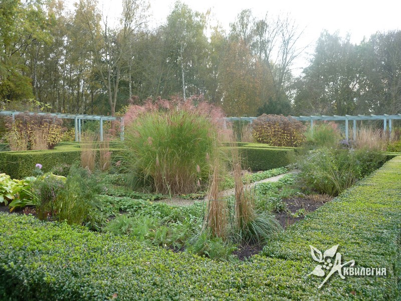 Снова о гарантиях на растения