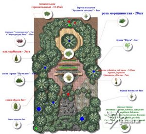 Выставочный сад “70-лет Победы в ВОВ” 2сл