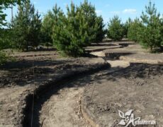 мощение, процесс (1)