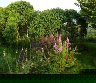 разовые меропр