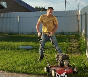 вычесывание-газона