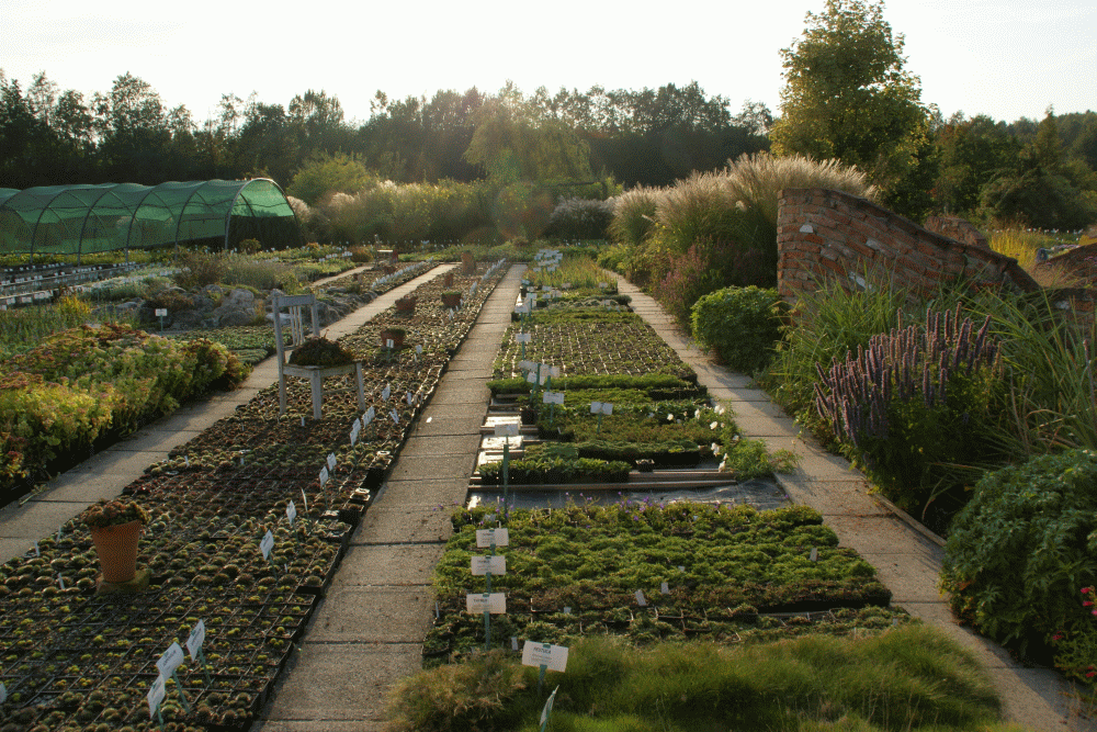 В поисках идеального посадочного материала