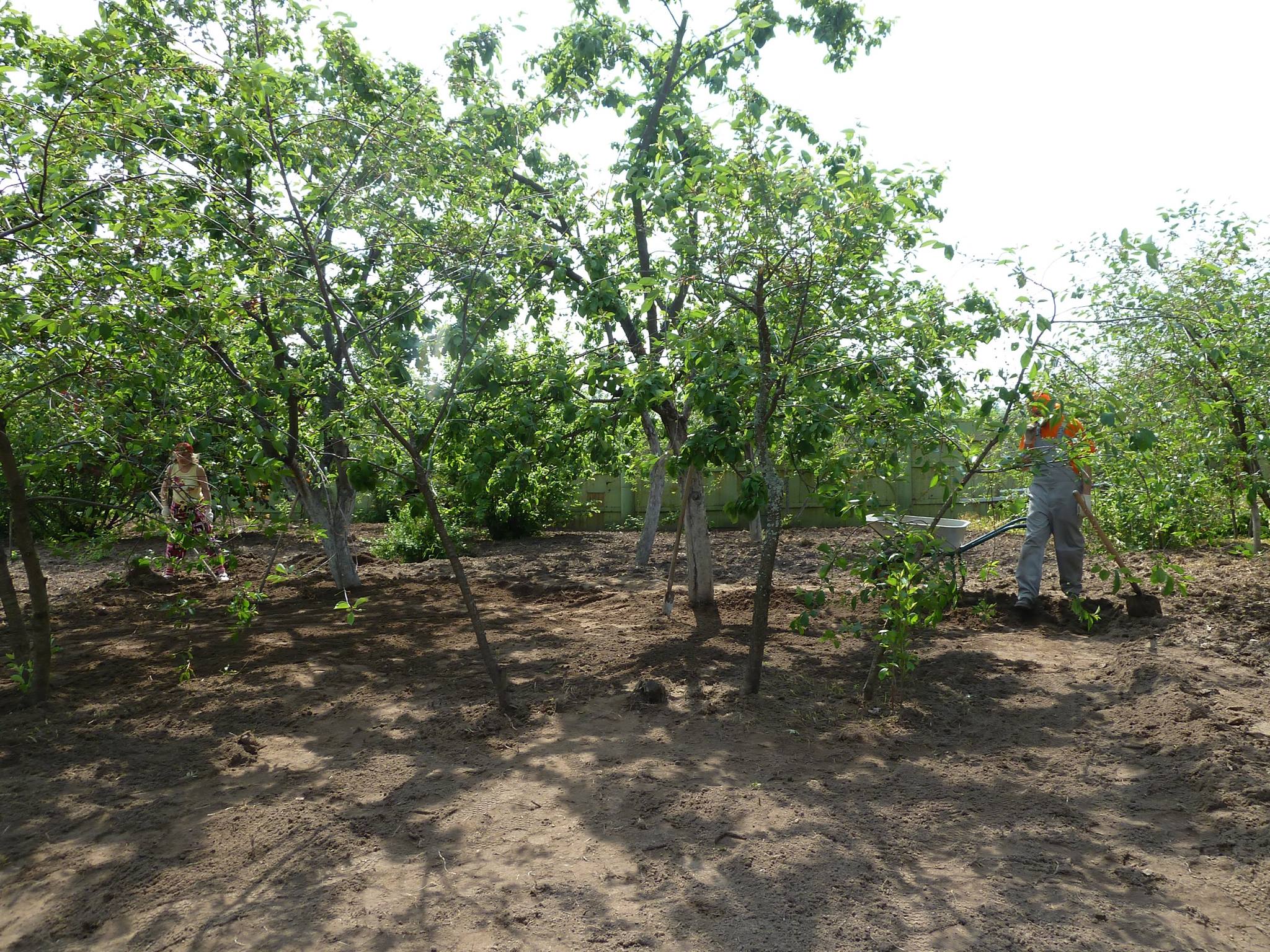 Миф о почвенной смеси