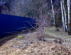 Загородный дом 4 Загородный дом 4