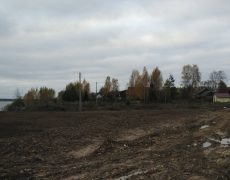 Загородный сад Загородный сад