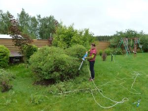 Малоуходный сад