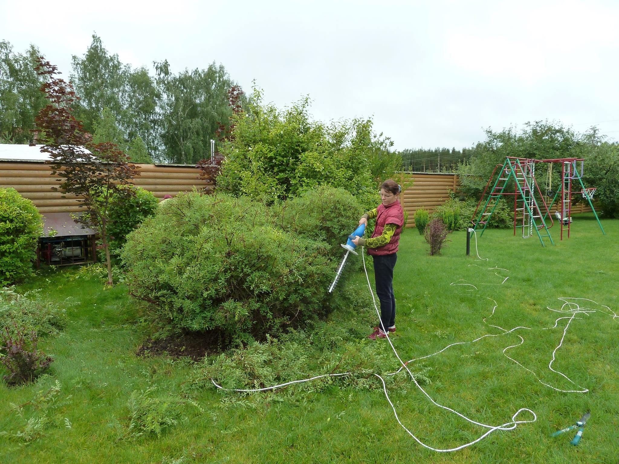 Малоуходный сад