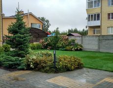 Экономим на Ландшафтном дизайне Экономим на Ландшафтном дизайне