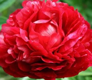 Что модно в 2017 1