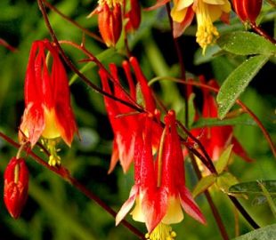 Что модно в 2017 2