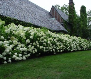 Как, что и кто уменьшит время на уход 2 Как, что и кто уменьшит время на уход 2