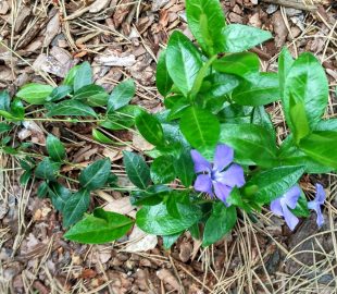 Как, что и кто уменьшит время на уход 4 Как, что и кто уменьшит время на уход 4