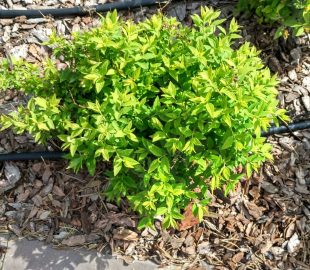 Как, что и кто уменьшит время на уход 5 Как, что и кто уменьшит время на уход 5