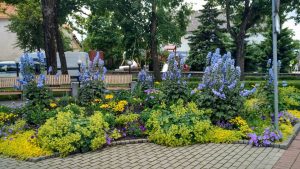 Поездка в Ригу 1