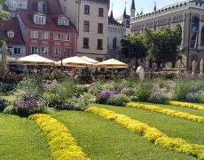 Поездка в Ригу 2 Поездка в Ригу 2