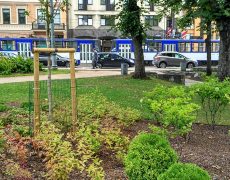 Поездка в Ригу 5 Поездка в Ригу 5