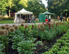 Поездка в Ригу 7 Поездка в Ригу 7