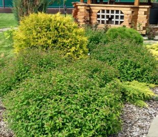 финансовые секреты самых затратных в уходе позиций 2