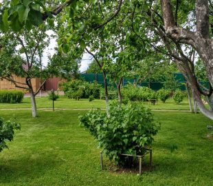 финансовые секреты самых затратных в уходе позиций 1