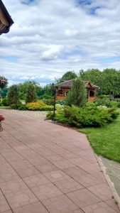 финансовые секреты самых затратных в уходе позиций 5