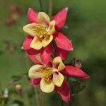 0_2301b_3f518991_orig