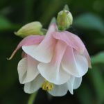 0_6830e_691b5f2c_-1-L