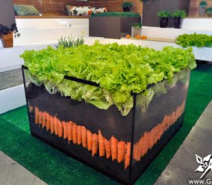 Ностальгия