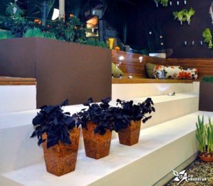 Ностальгия