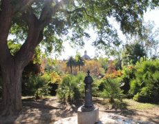 колонки-с-водойL