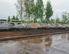 Ландшафтный дизайн озеленение Хуадянь - Тенинской ТЭЦ (10)