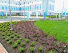 Ландшафтный дизайн озеленение Хуадянь - Тенинской ТЭЦ