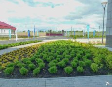 Ландшафтный дизайн озеленение Хуадянь - Тенинской ТЭЦ
