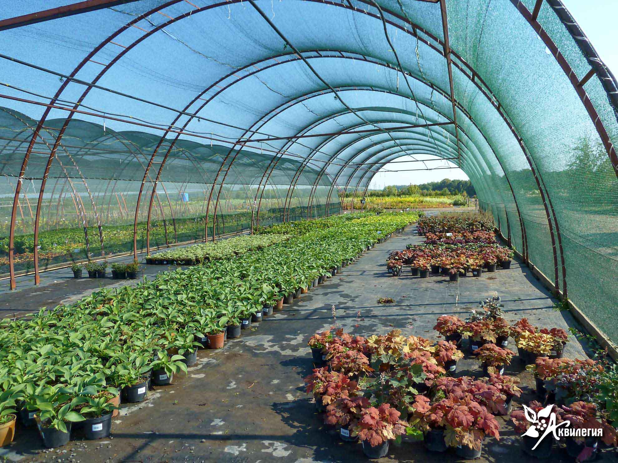 Подбор растений и стройматериалов