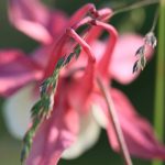 received_1442439879126148