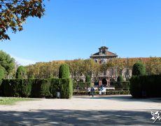 стриженные-тиссыL