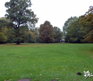 Тиргартен-4-(3)L