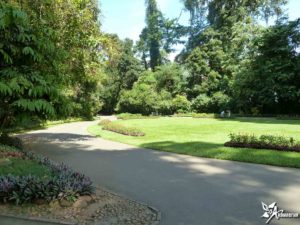 Королевский ботанический сад «Paradeniya», Шри - Ланка