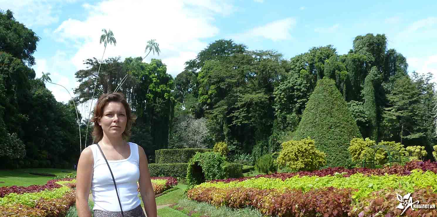 Королевский ботанический сад «Paradeniya», Шри – Ланка