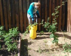 обработка хим.препаратами обработка хим.препаратами