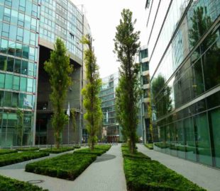 озеленение крыши