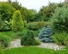 рекомендации по уходу за каменистыми горками, Ландшафтный дизайн рекомендации по уходу за каменистыми горками, Ландшафтный дизайн