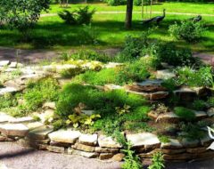 рекомендации по уходу за каменистыми горками, Ландшафтный дизайн рекомендации по уходу за каменистыми горками, Ландшафный дизайн