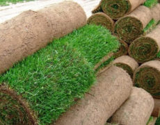 рулонный газон (2)