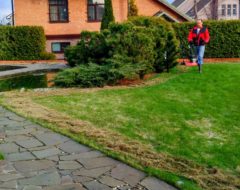 вычесывание газона Ландшафтный дизайн вычесывание газона Ландшафтный дизайн