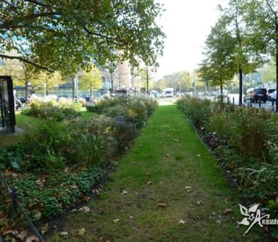 цветочное оформление городского сквера (1) цветочное оформление городского сквера (1)