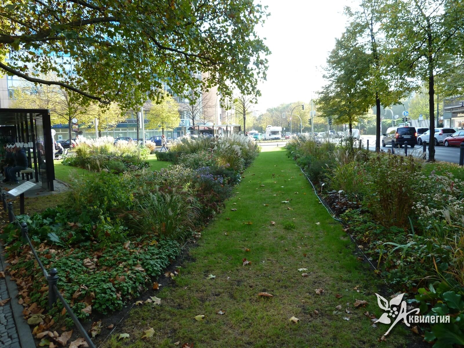 Подходы в озеленении городской территории в Берлине. Все дело в мелочах.