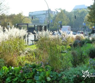 цветочное оформление городского сквера (3) цветочное оформление городского сквера (3)